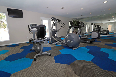 City Heights Garden Lane gallery image 22