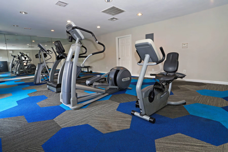 City Heights Garden Lane gallery image 24